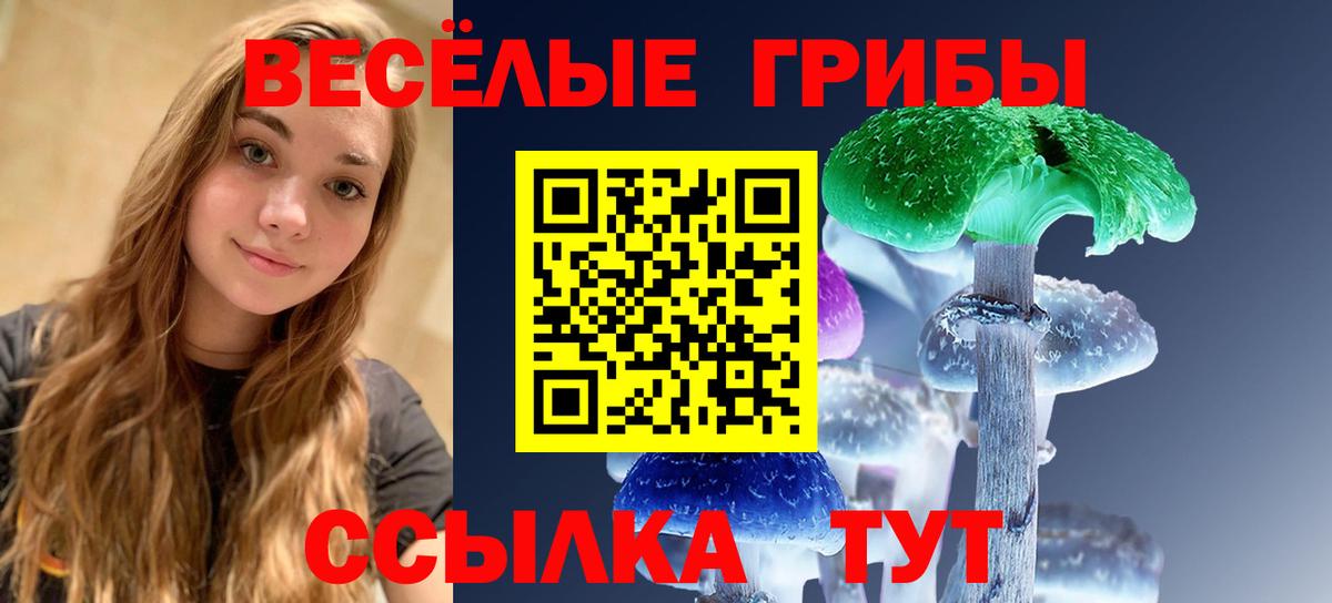 Звенигород  Псилоцибиновые грибы MAGIC MUSHROOMS  Галлюциногенные грибы Psilocybe  продажа наркотиков  Вход с VPN 