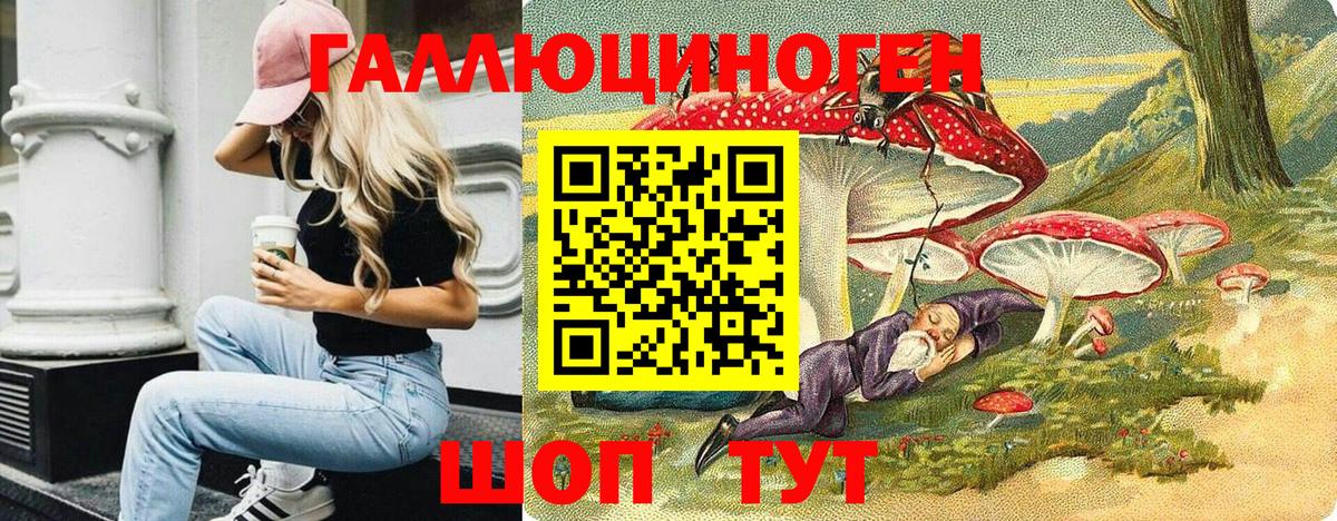 Галлюциногенные грибы Psilocybe Звенигород