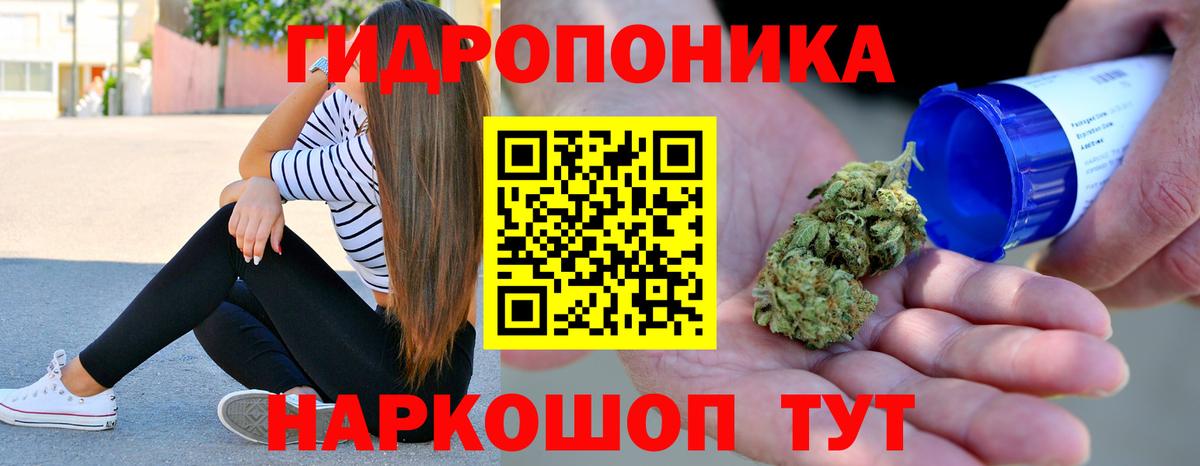 Бошки марихуана MAZAR Звенигород